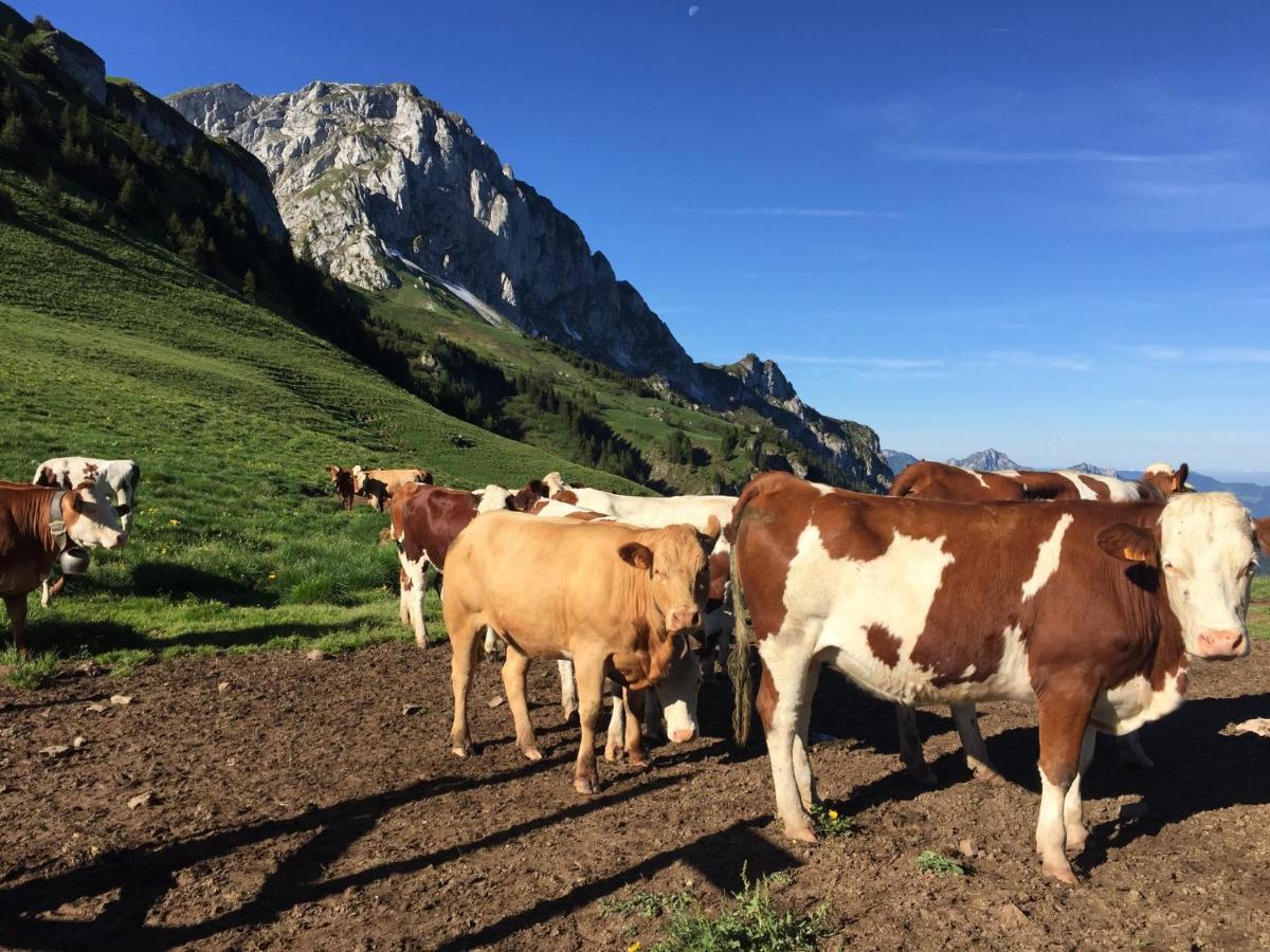 Appartement Le Léman à Thollon-les-Mémises Extérieur photo